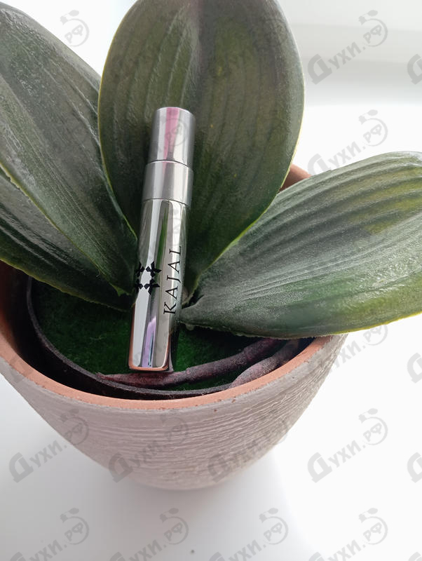 Купить Kajal Almaz