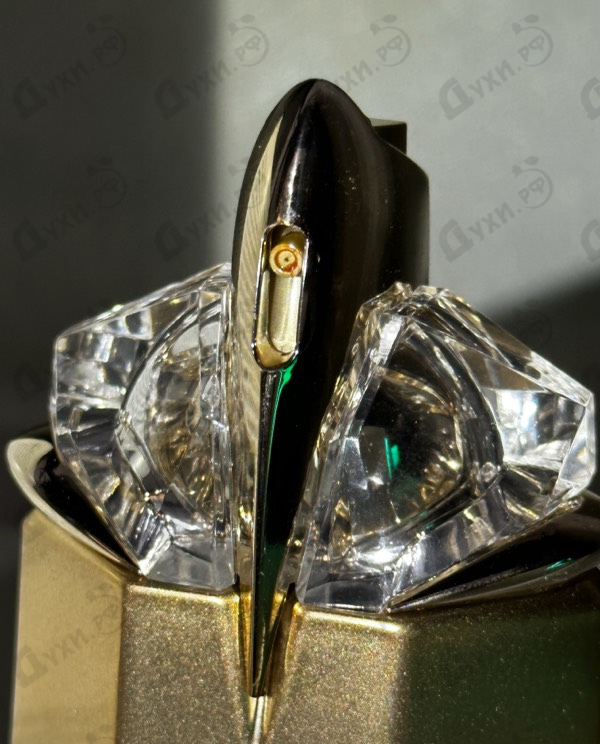 Купить Alien Goddess Intense от Thierry Mugler