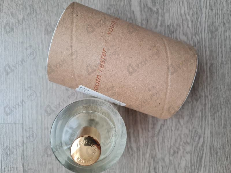 Купить Youth от Zarkoperfume