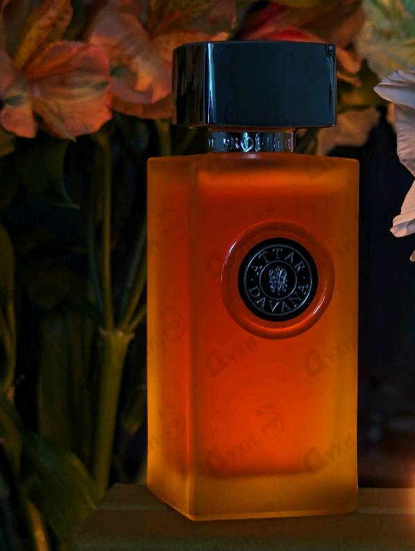 Парфюмерия Attar Davana от Arte Profumi