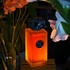 Духи Attar Davana от Arte Profumi