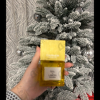 Парфюм Carner Barcelona Sal Y Limon