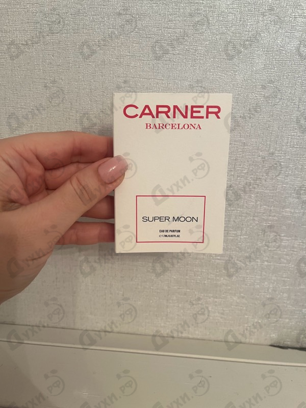 Купить Super Moon от Carner Barcelona