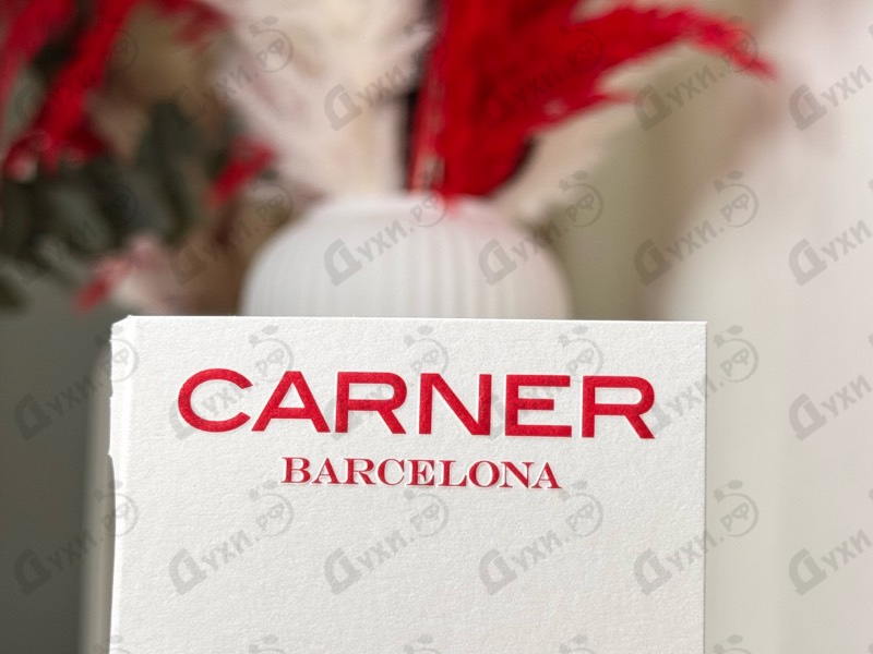 Купить Super Moon от Carner Barcelona
