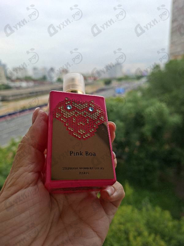 Купить Pink Boa от Stephane Humbert Lucas 777
