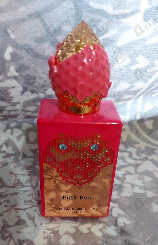 Парфюмерия Pink Boa от Stephane Humbert Lucas 777