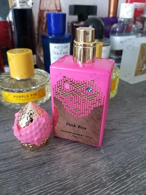 Парфюмерия Pink Boa от Stephane Humbert Lucas 777