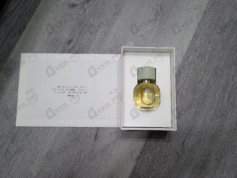 Парфюмерия Signature Wild от Art De Parfum