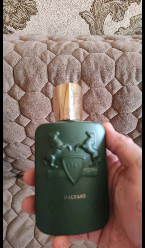 Купить Haltane от Parfums de Marly