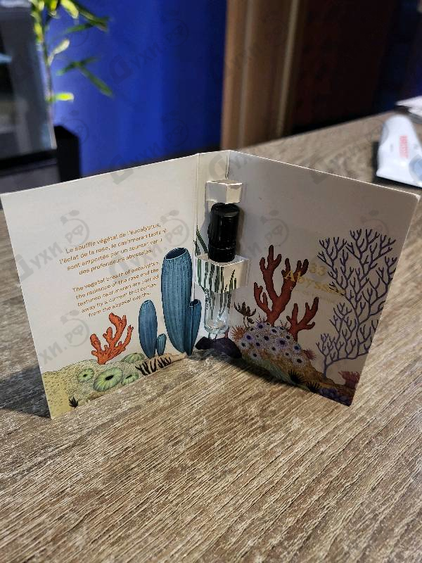 Отзывы L'Artisan Parfumeur Abyssae