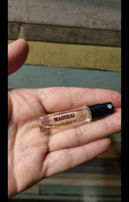 Отзывы Memo Madurai