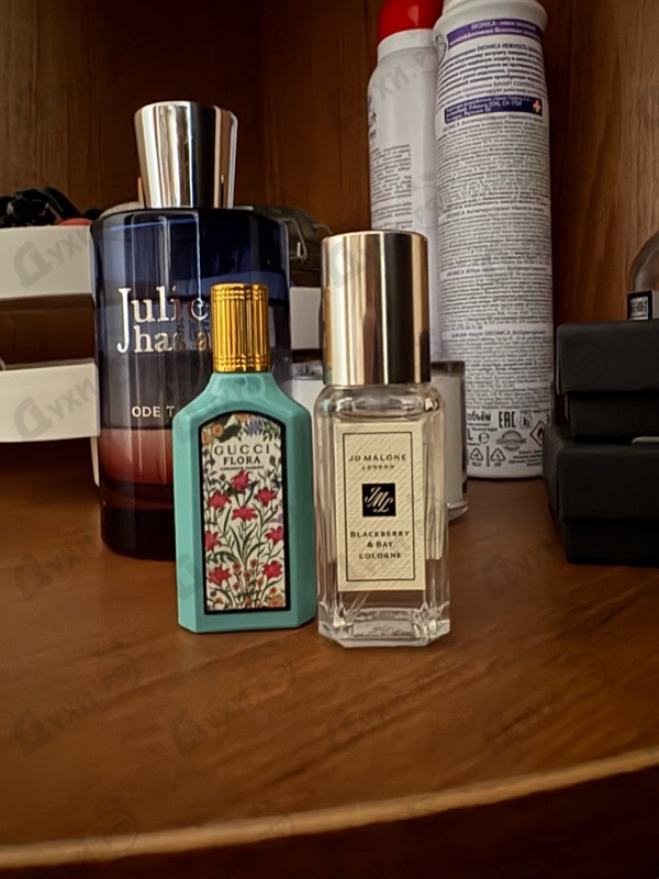 Купить Flora Gorgeous Jasmine от Gucci