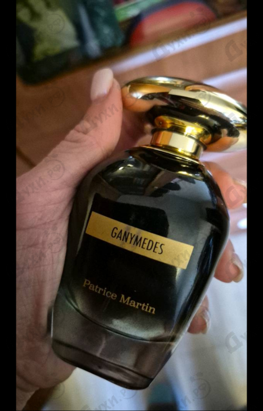 Отзыв Patrice Martin Ganymedes