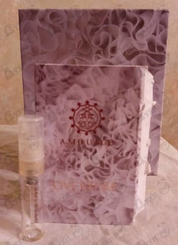 Купить Overture от Amouage