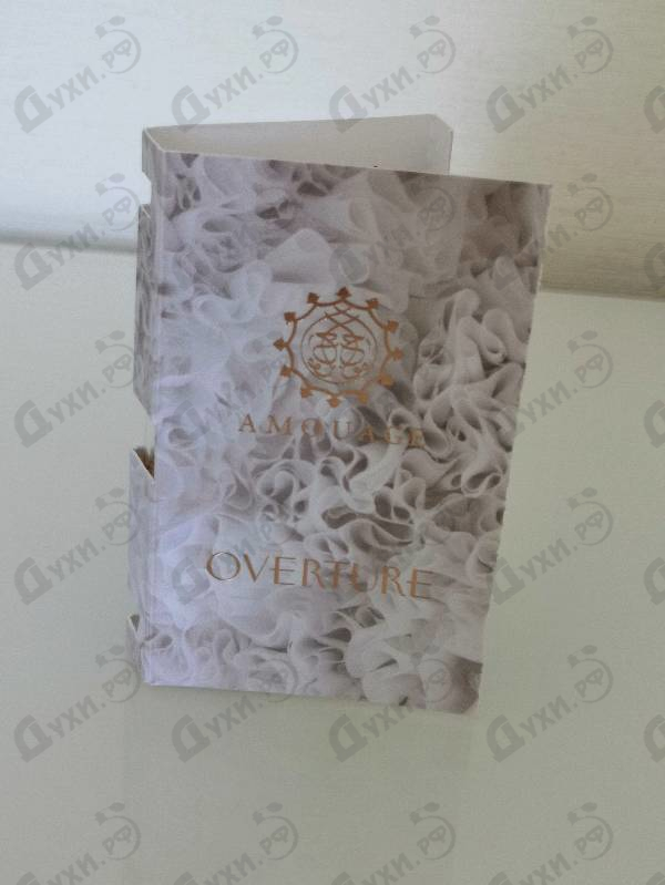 Купить Overture от Amouage