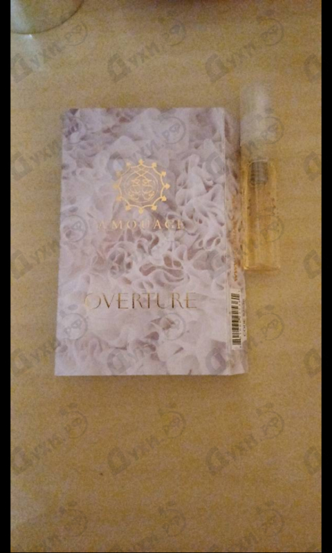 Купить Overture от Amouage
