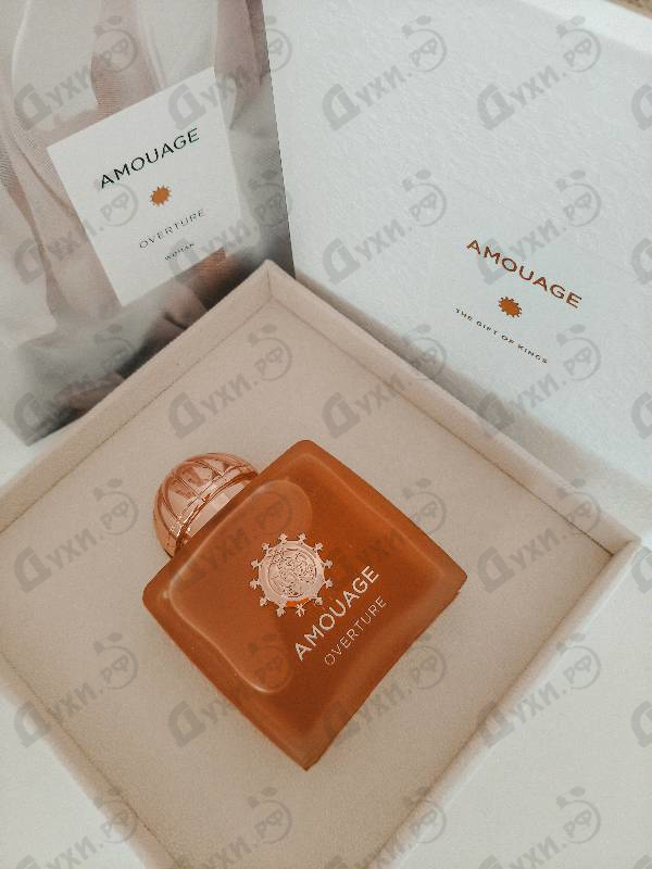 Парфюмерия Amouage Overture