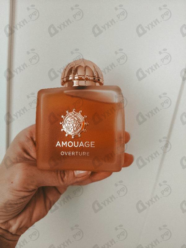 Купить Overture от Amouage