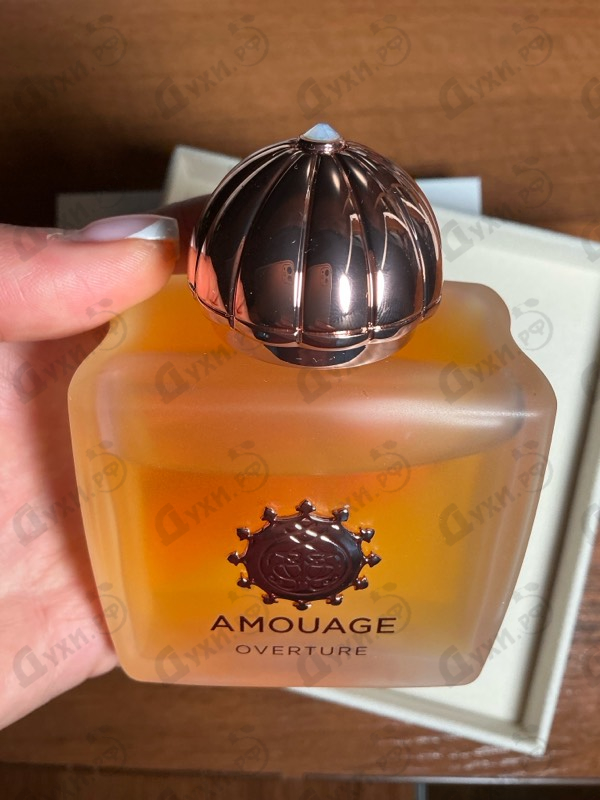 Духи Overture от Amouage