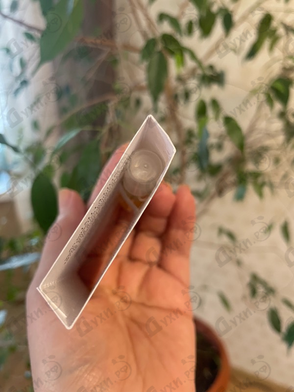 Купить Overture от Amouage