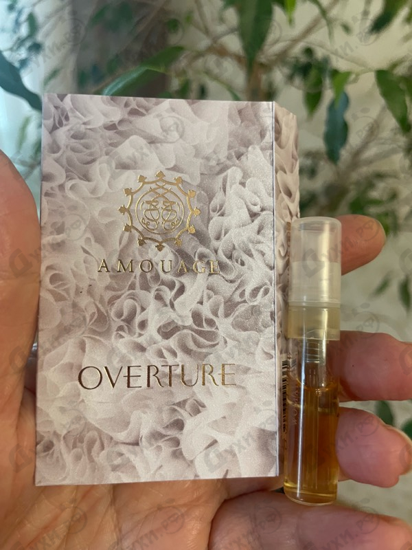 Купить Overture от Amouage