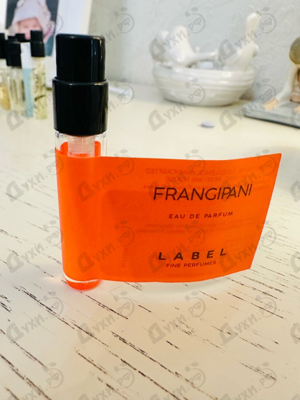 Купить Label Frangipani
