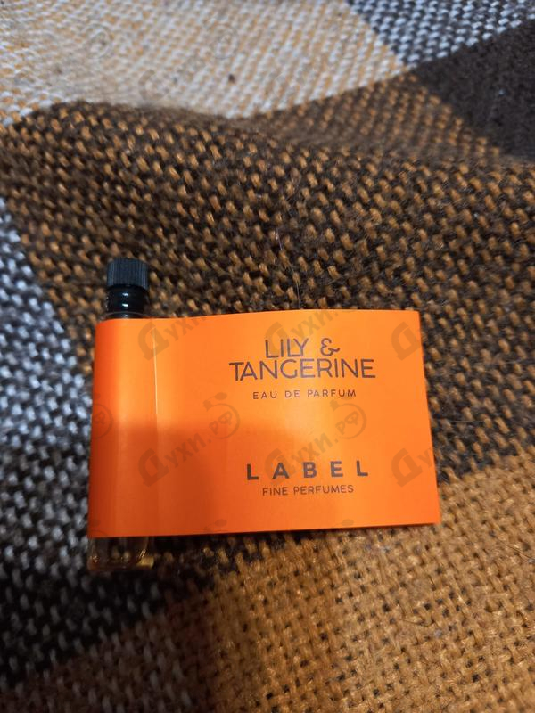 Купить Lily & Tangerine от Label