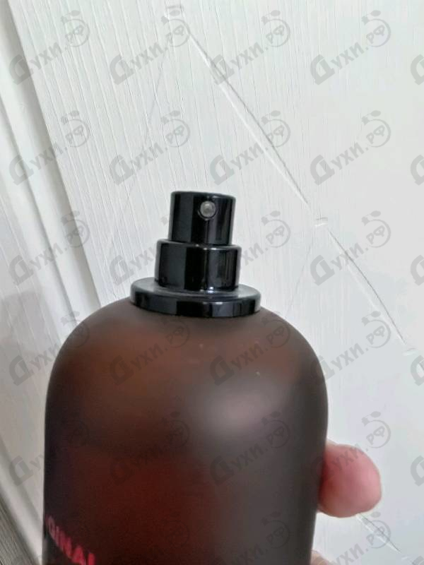 Отзывы Dsquared2 Original Wood Купить Original Wood от Dsquared2