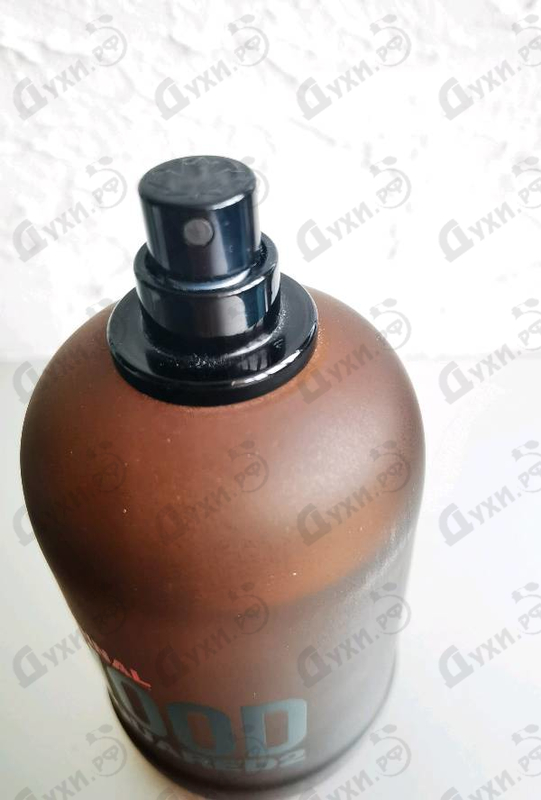 Купить Original Wood от Dsquared2