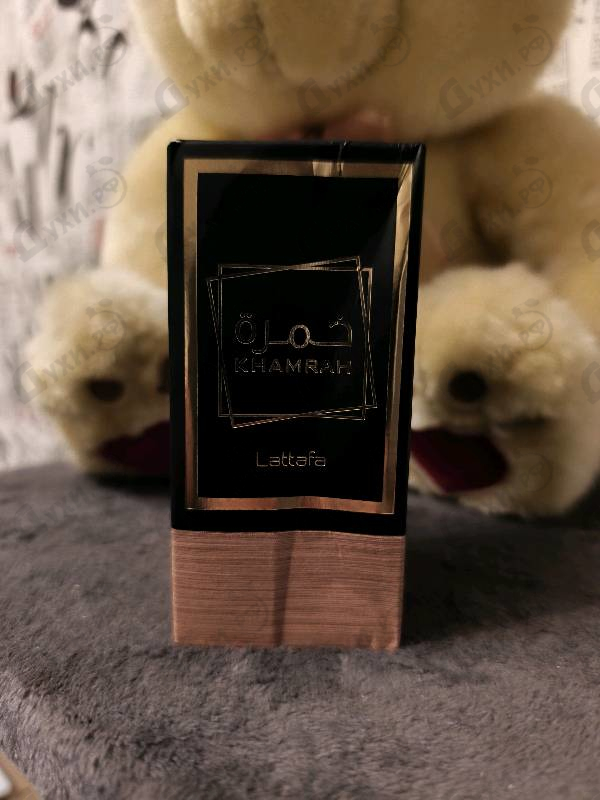 Купить Khamrah от Lattafa Perfumes