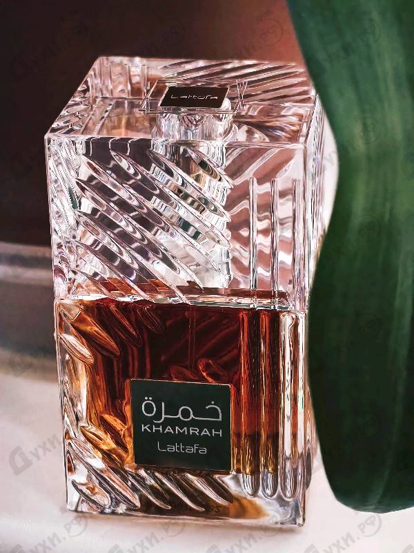 Отзыв Lattafa Perfumes Khamrah