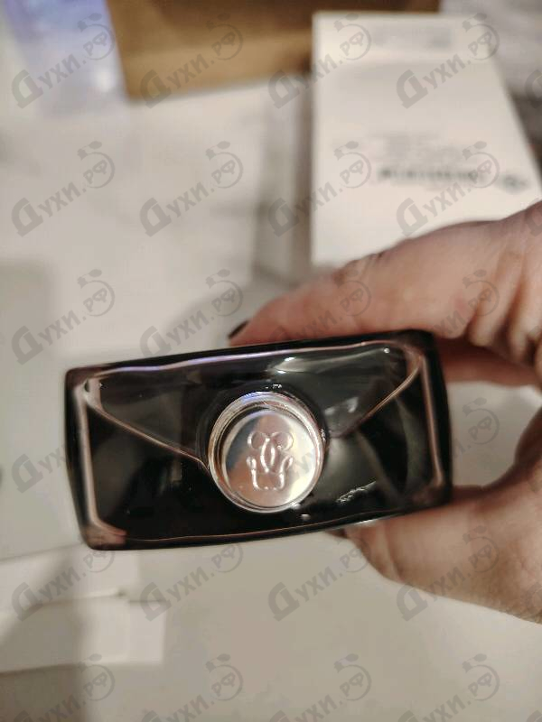 Купить La Petite Robe Noire Eau De Parfum Intense от Guerlain