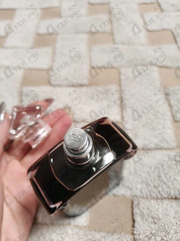 Парфюмерия La Petite Robe Noire Eau De Parfum Intense от Guerlain