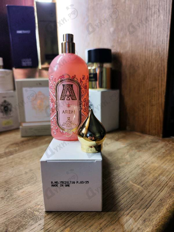 Купить Areej от Attar Collection