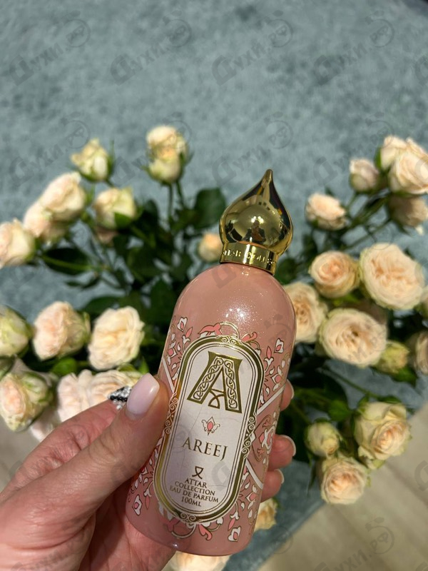 Купить Areej от Attar Collection