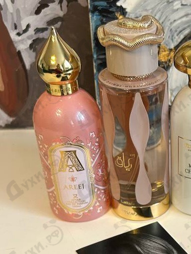 Отзывы Attar Collection Areej