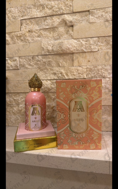 Купить Areej от Attar Collection