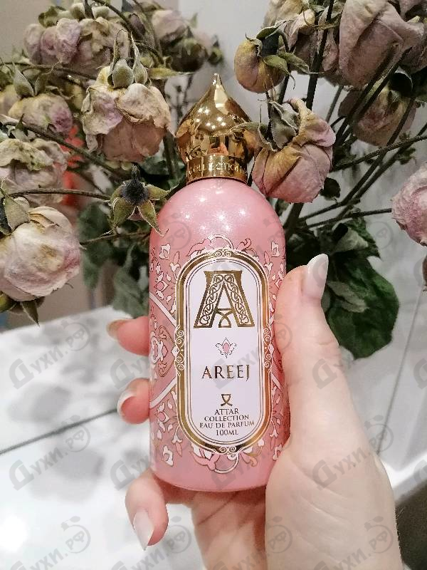 Купить Areej от Attar Collection