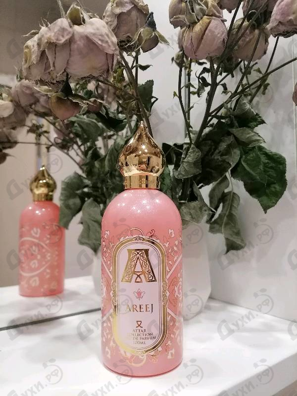 Купить Areej от Attar Collection