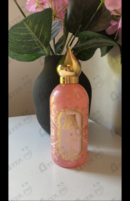 Духи Areej от Attar Collection