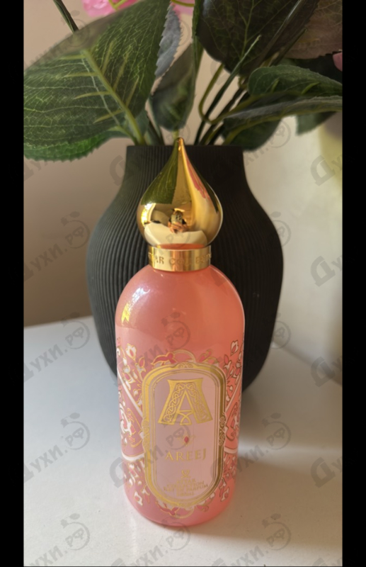 Отзывы Attar Collection Areej