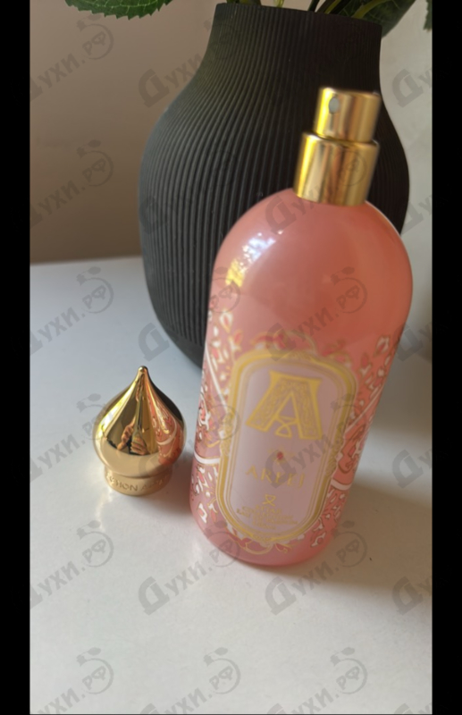 Купить Areej от Attar Collection