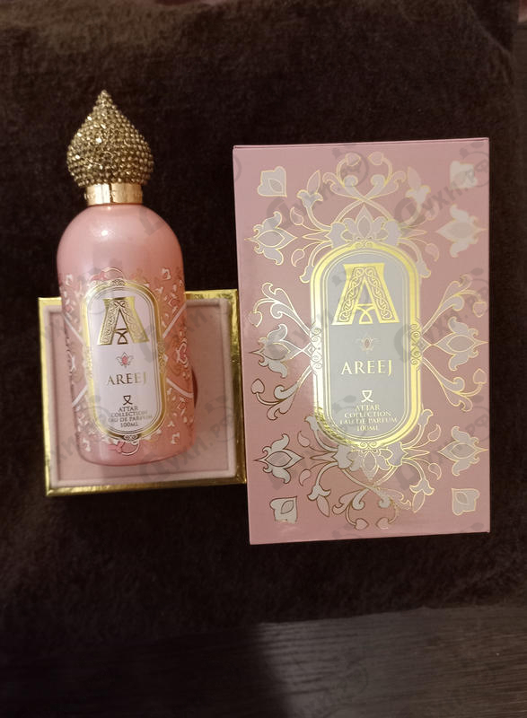 Купить Areej от Attar Collection