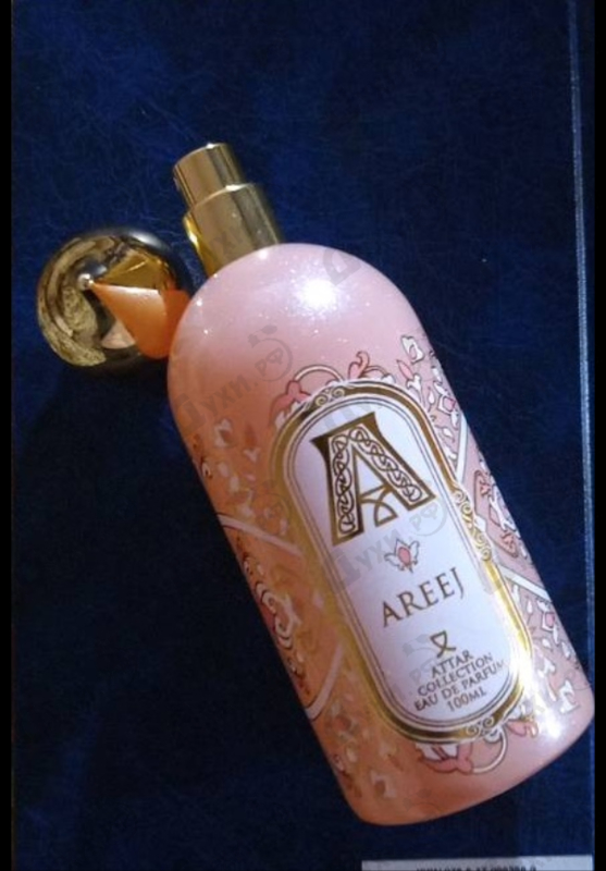 Купить Areej от Attar Collection