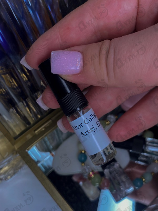 Парфюмерия Attar Collection Areej