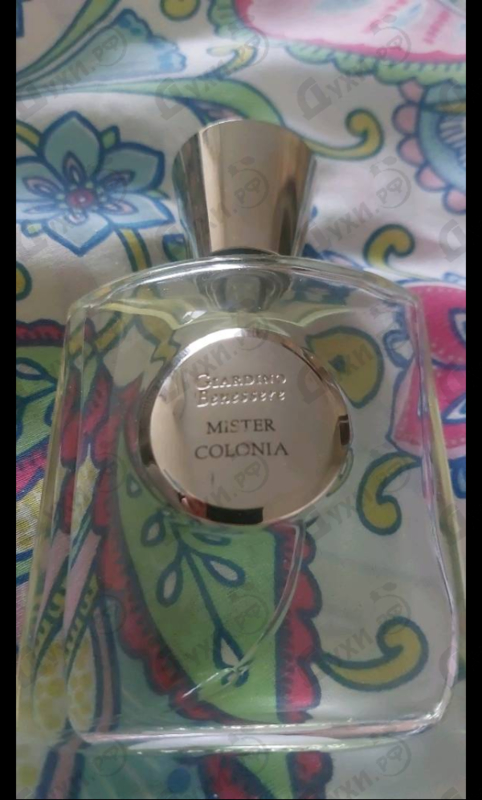 Парфюмерия Mister Colonia от Giardino Benessere