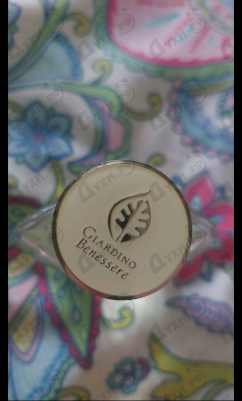 Купить Mister Colonia от Giardino Benessere