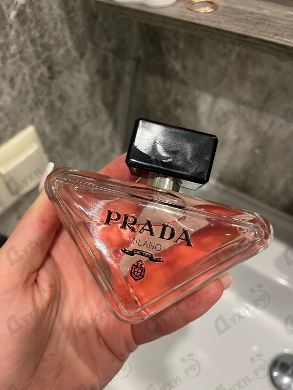 Купить Prada Paradoxe