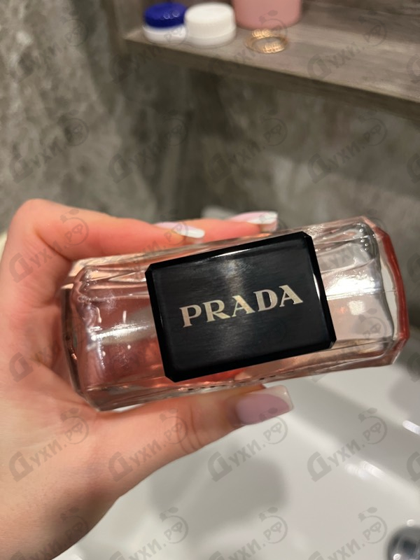 Отзывы Prada Paradoxe