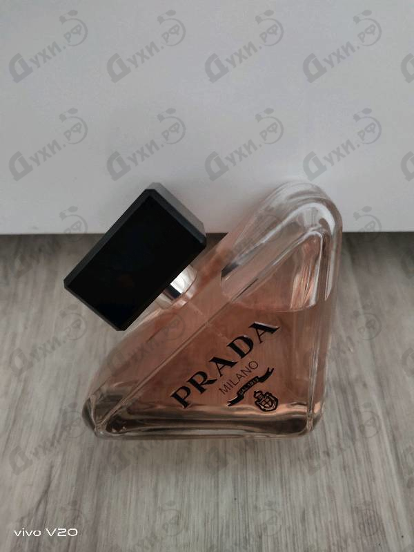Парфюмерия Prada Paradoxe